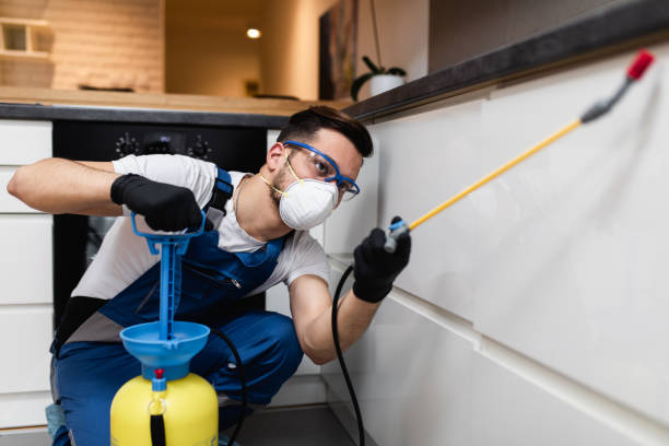  South Bend, WA Pest Control Pros