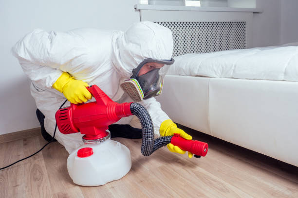 Best Wasp Removal Services  in South Bend, WA