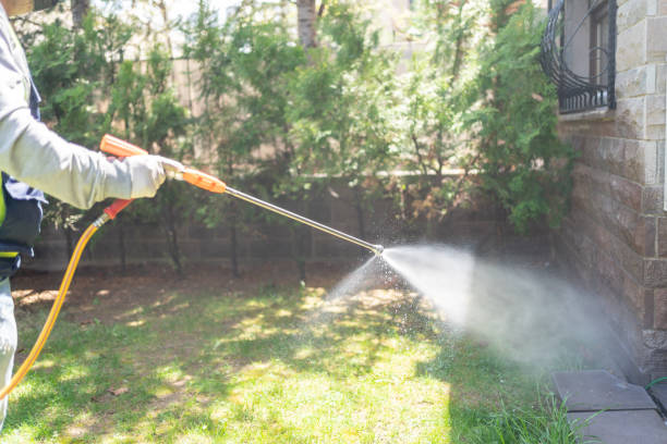 Best Pest Removal Services  in South Bend, WA