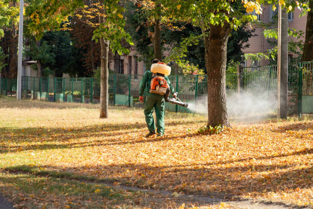 Professional Pest Control in South Bend, WA